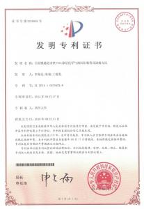 發明專利